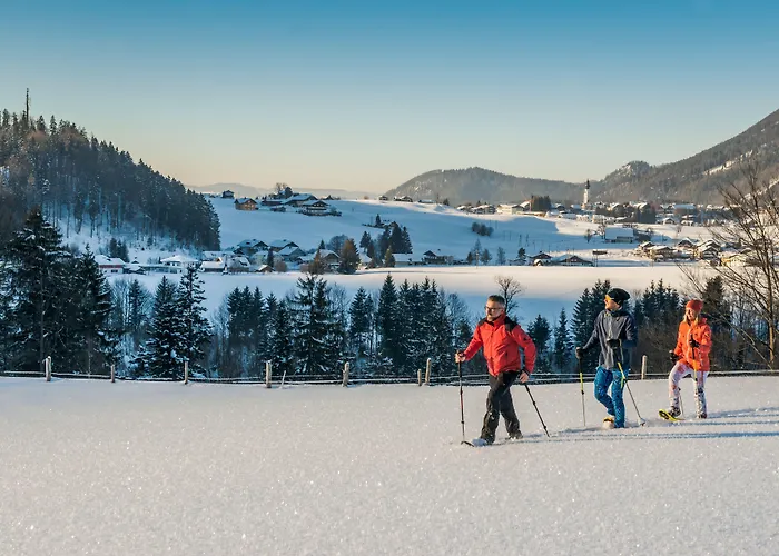 Schloss Fuschl, A Luxury Collection & Spa, Fuschlsee-salzburg Resort Hof bei Salzburg